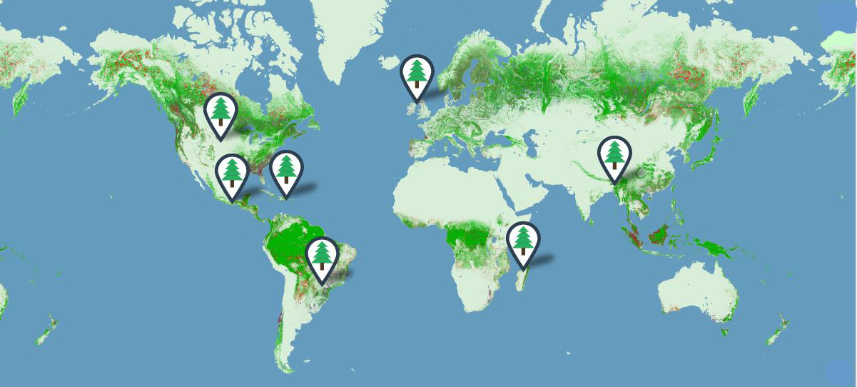 Forestry Map, PrintReleaf, Middle Georgia Business Products